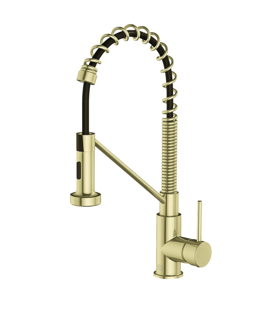 Tamsin Single Handle Pull Down Sprayer Kitchen Faucet, Industrial Style, Brushed Gold - KF200BGD