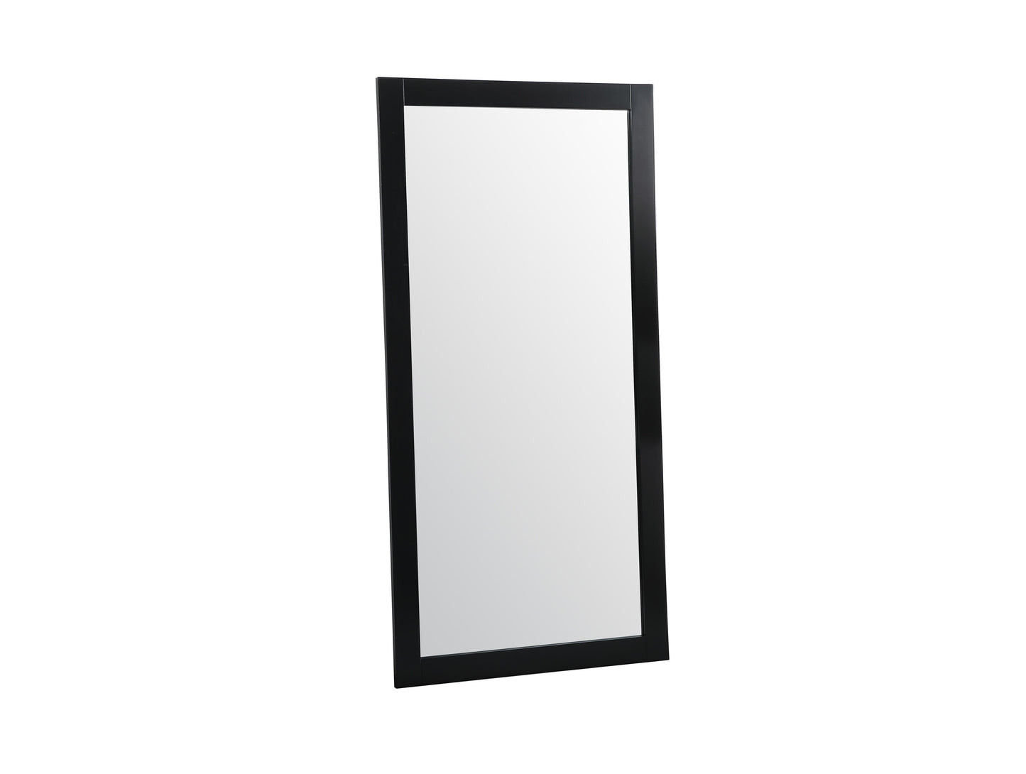 Envision, Aqua Vanity Mirror 72X36 Inch in, Modern, Black - MR3407236BK